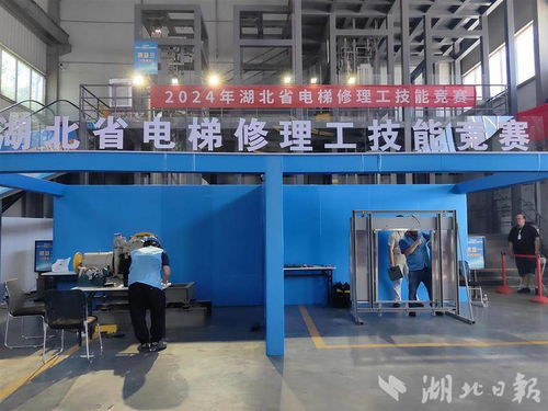 湖北电梯保有量突破40万台 住宅电梯占比六成背后的城市脉动